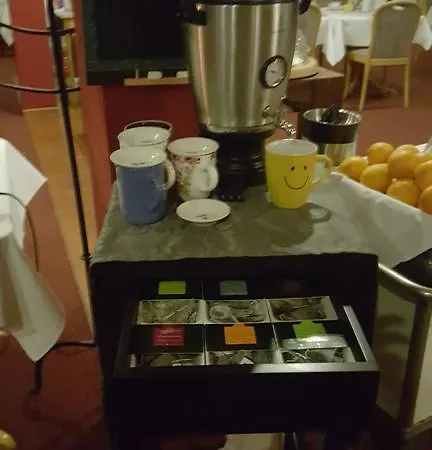 Hotel Taunus 4*