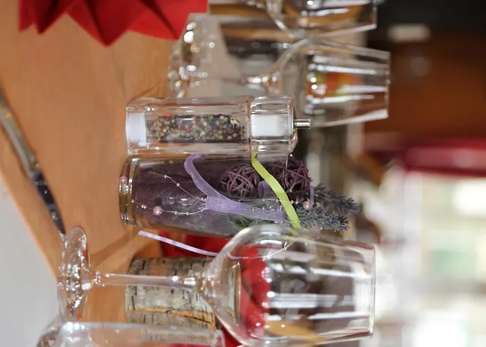 酒店 陶努斯酒店 4*