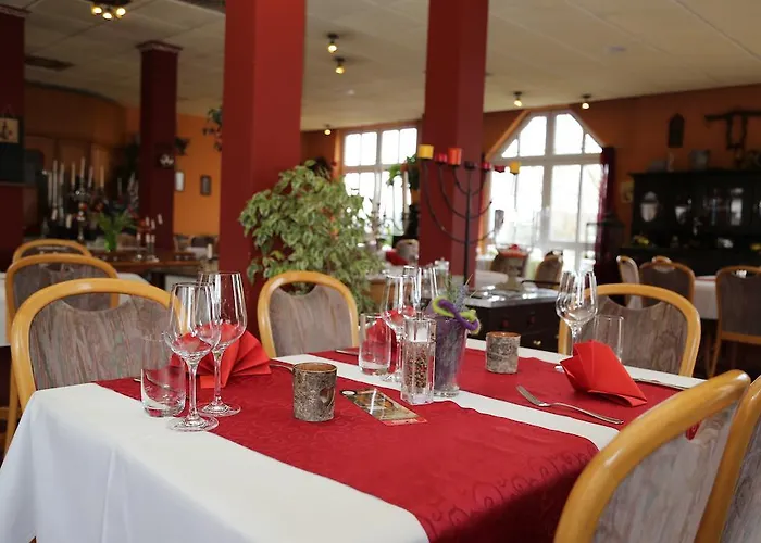 酒店 陶努斯酒店 4*