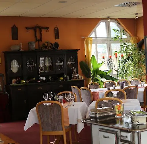 酒店 陶努斯酒店