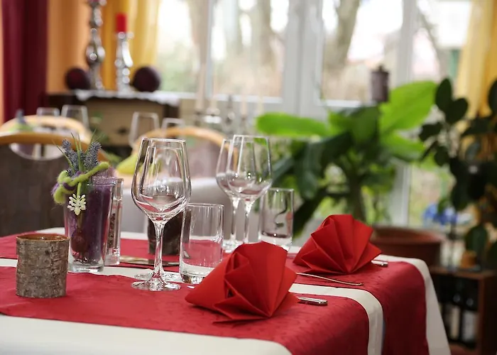 酒店 陶努斯酒店 4*