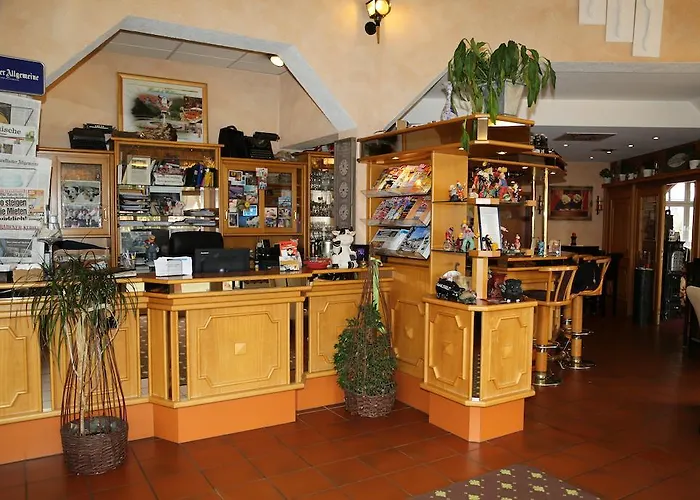 酒店 陶努斯酒店