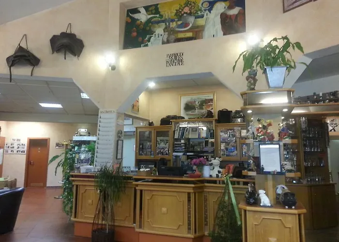 陶努斯酒店 酒店 4*